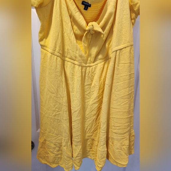 Torrid, MINI GAUZE PUFF SLEEVE SKATER DRESS, Plus Size 5X. - Picture 10 of 17